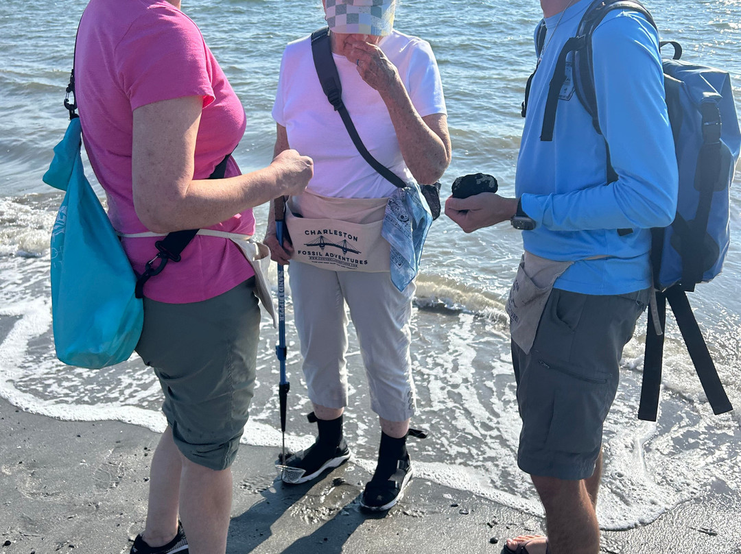 Charleston Fossil Adventures-查尔斯顿必去景点