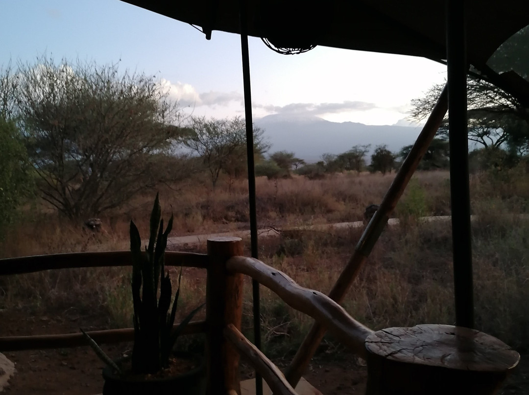 D.M. Tours & Safaris-查佛必去景点