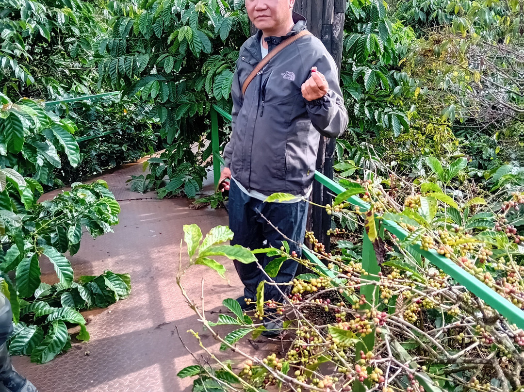 Motorbike Trip Vietnam-托伯莫里必去景点