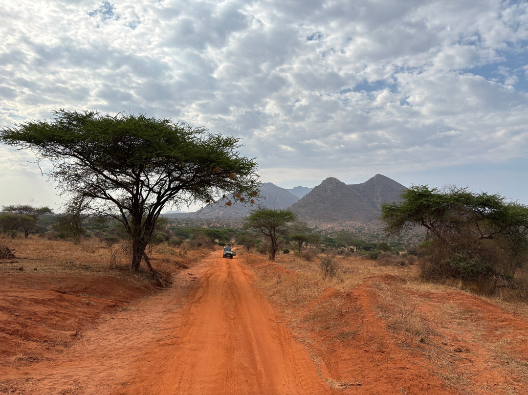 Jawamu Tours and Safaris-Kilifi必去景点