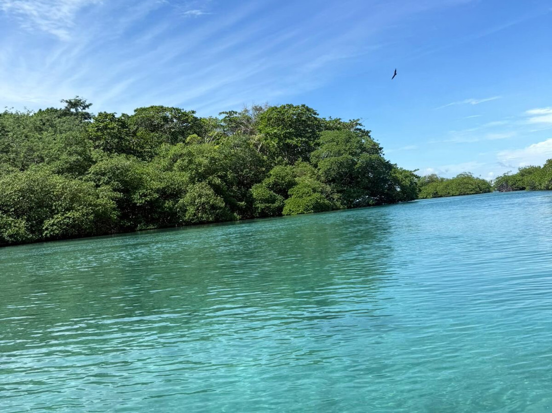 Safe Transportation Panama-巴拿马城必去景点