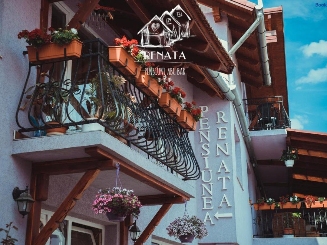 Valea Draganului酒店住宿-Renata Guesthouse