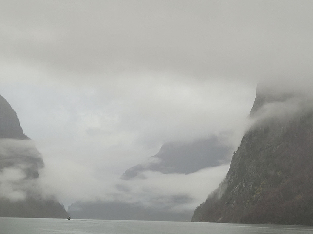 FjordSafari-弗洛姆必去景点