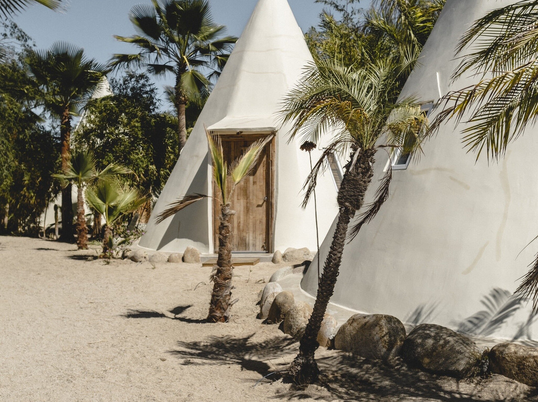 Tribu Todos Santos