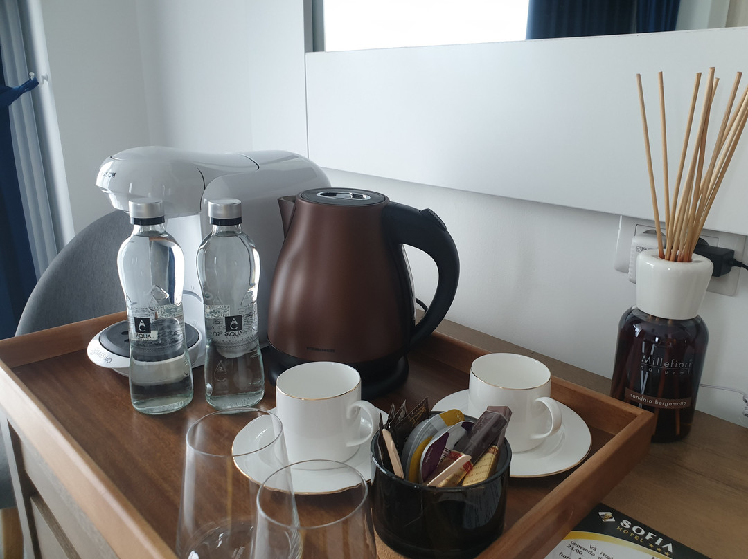 Falticeni酒店住宿-Hotel Angel Sofia