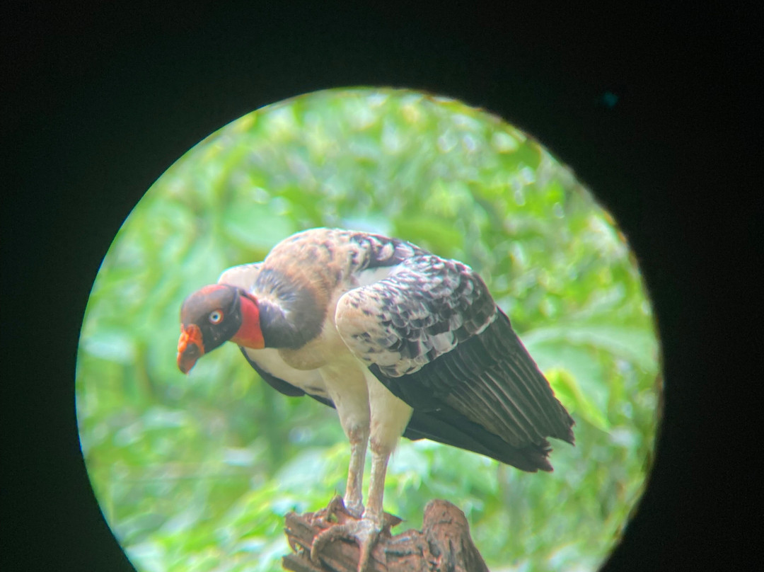Pizote Tours-Boca Tapada必去景点