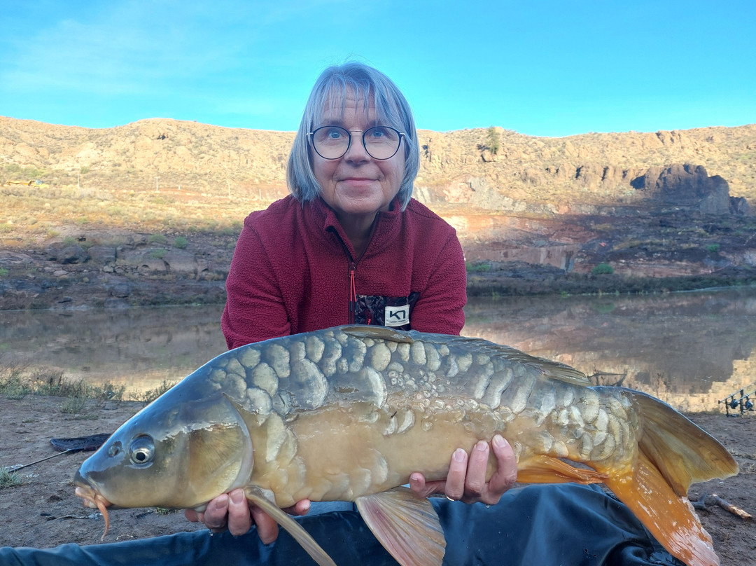 Carp Gran Canaria-San Bartolome de Tirajana必去景点