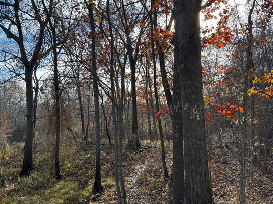 Witchwood Tours-塞勒姆必去景点