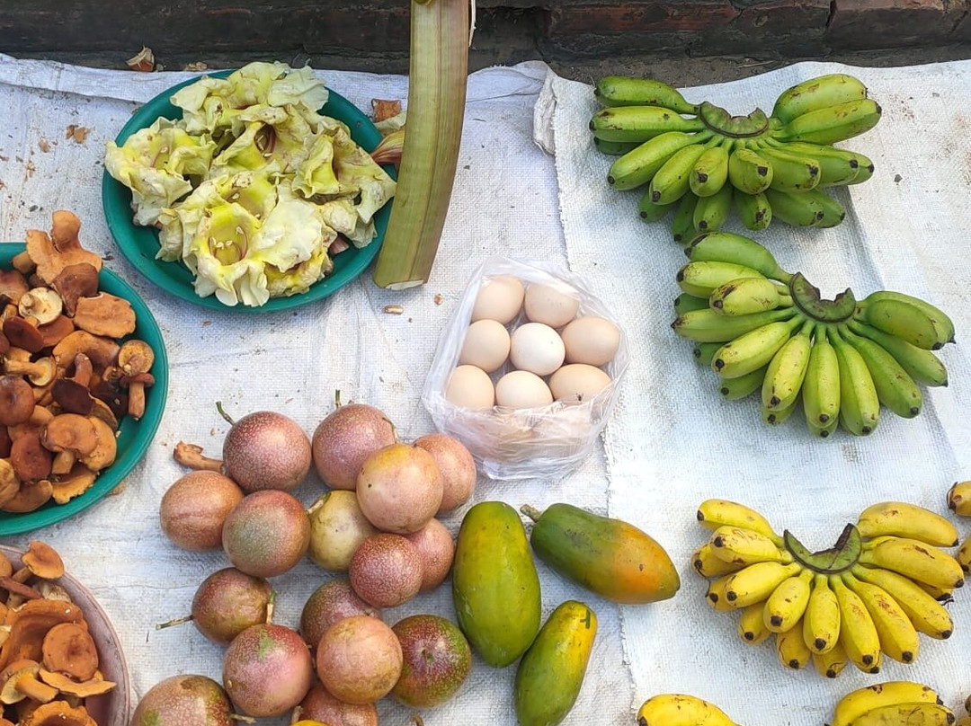 Wander Laos Tour-琅勃拉邦必去景点