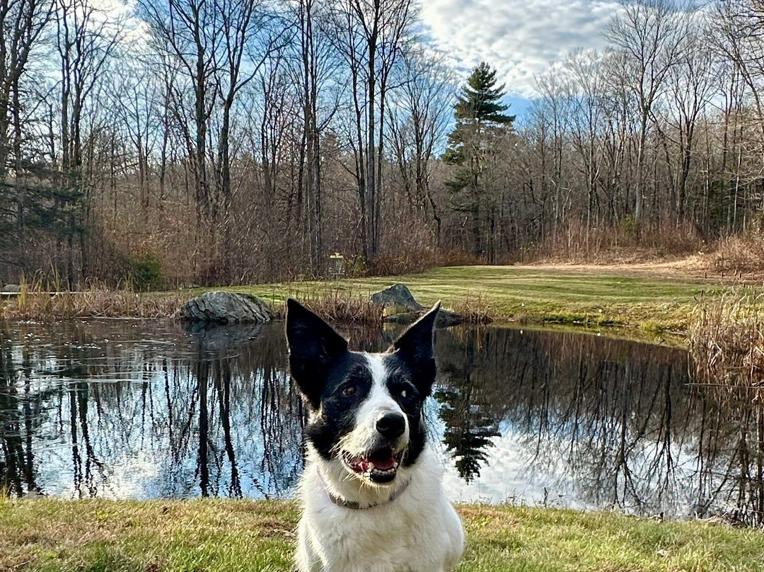 Norbrook Farm Brewery-Colebrook必去景点