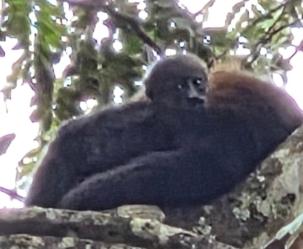 Transmila Transfers & Tours-塔马林多必去景点