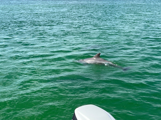 Flora-Bama Marina-橙色海湾必去景点