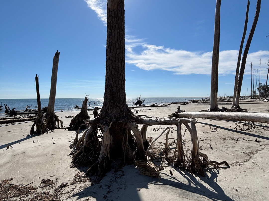 St. Phillips Island Ferry-Saint Helena Island必去景点