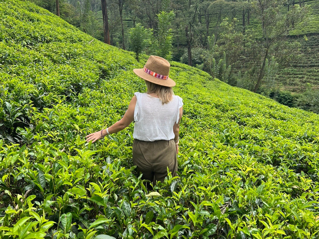 I and U Tours-Ganemulla必去景点