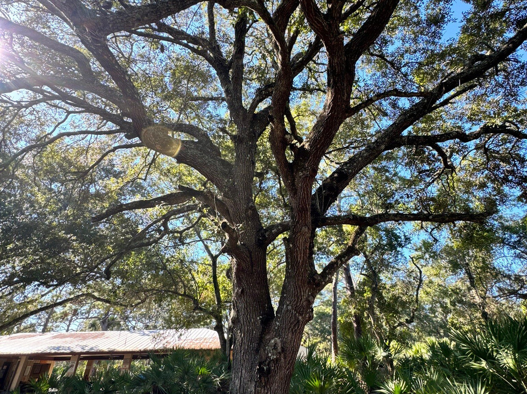 Brevard County Erna Nixon Park-墨尔本必去景点