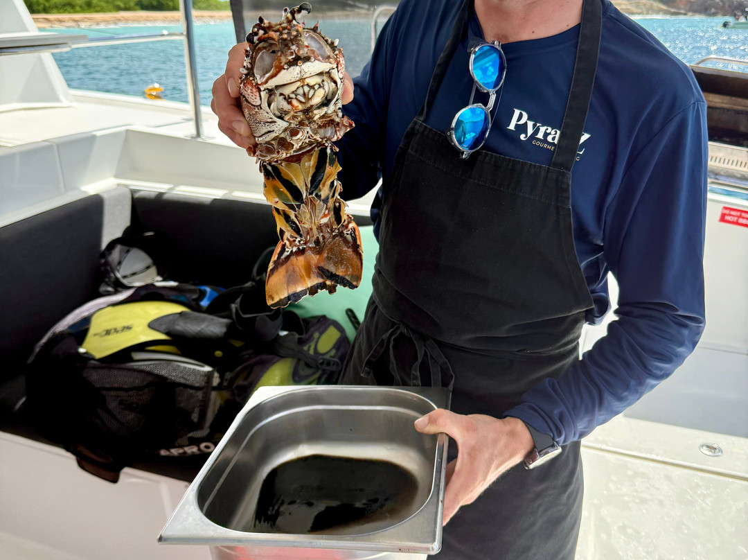 Pyratz, Gourmet Sailing-辛普森湾必去景点