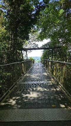 Mamu Tropical Skywalk-因尼斯费尔必去景点