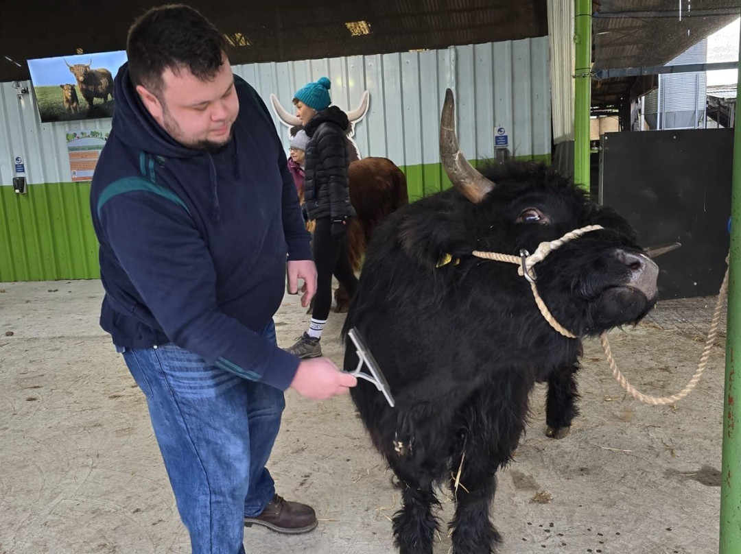 Dumble Farm-比弗利必去景点