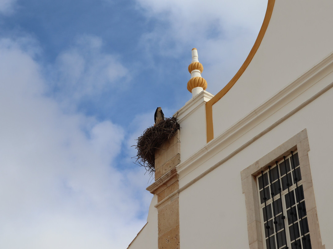 Igreja de Nossa Senhora da Conceicao-波尔蒂芒必去景点