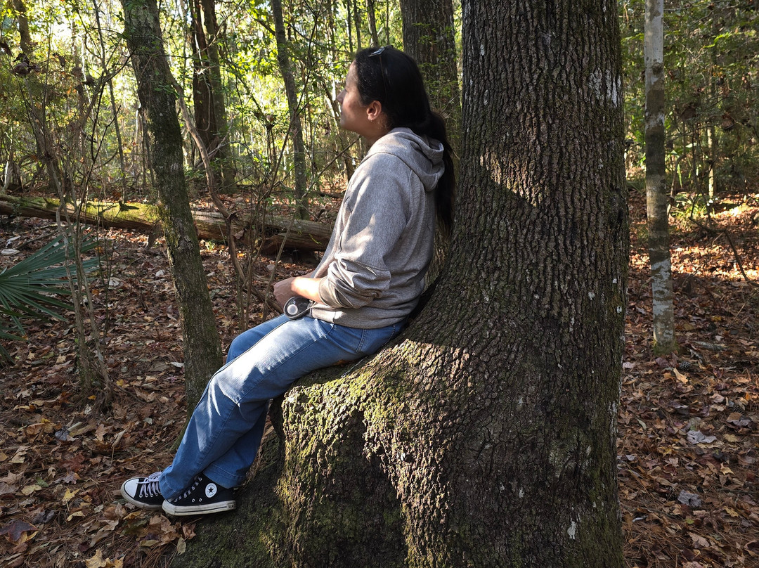 Historic Blakeley State Park-Spanish Fort必去景点