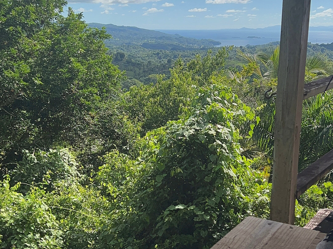 Runners Adventures-Las Galeras必去景点