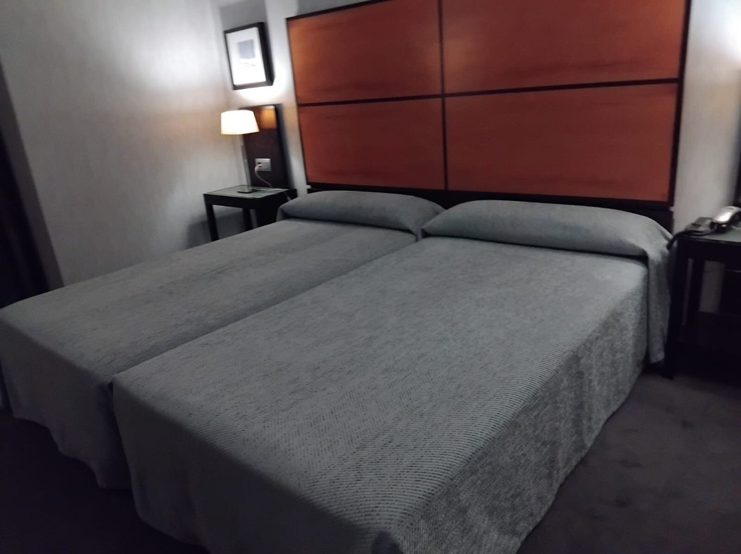 马西亚阿尔罕布拉皇宫酒店主图