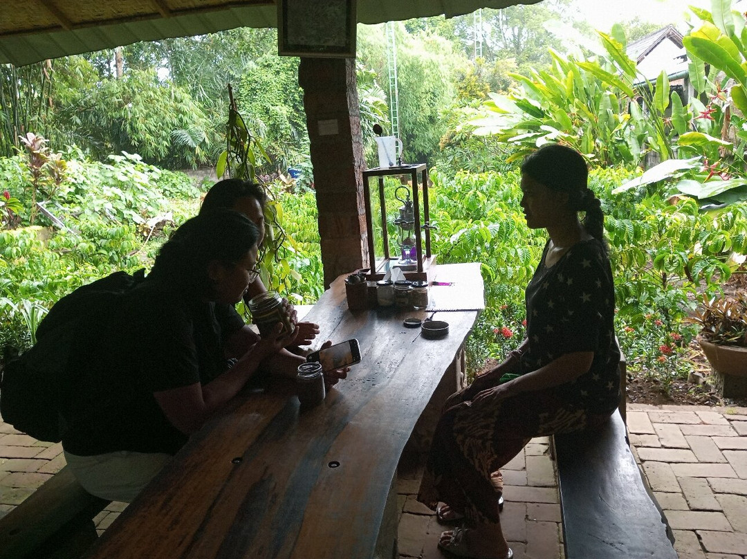 Celuk Swing & Luwak Coffee-Celuk必去景点