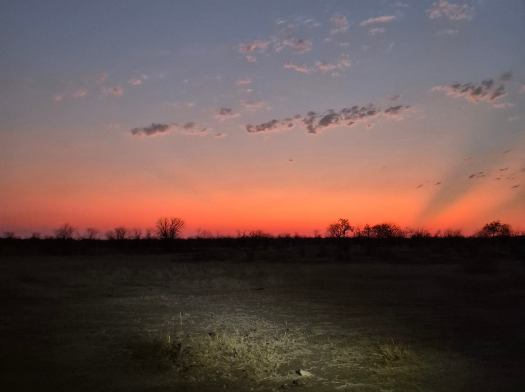 Bushbaby Adventures-伐拉博瓦必去景点