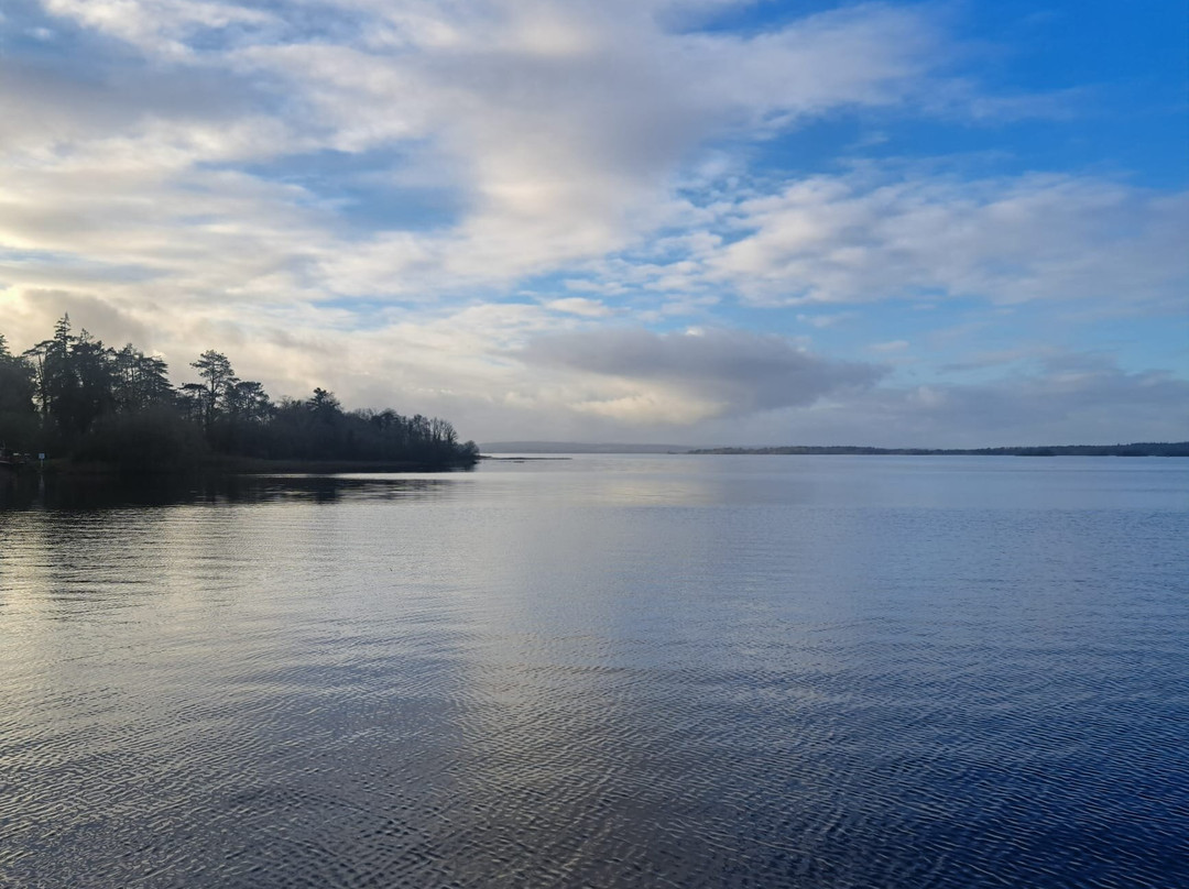 River Shannon Explorer-Shannonbridge必去景点