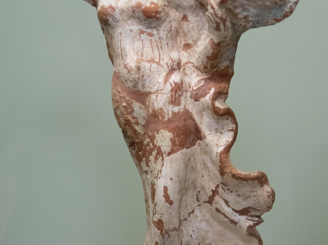 Chapelle des Templiers-拉昂必去景点