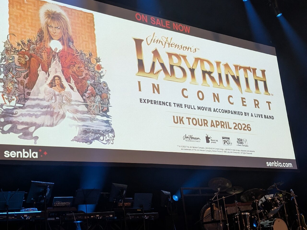 Sheffield City Hall-谢菲尔德必去景点