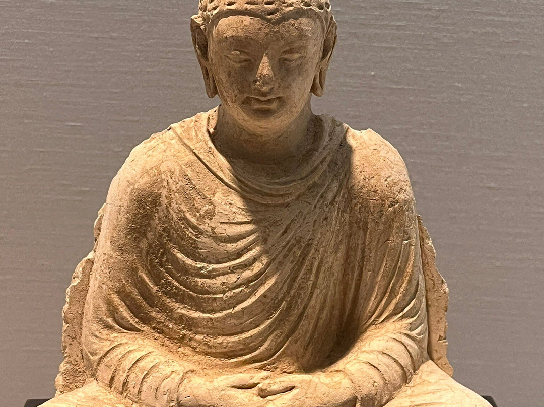 震旦博物館-上海市必去景点