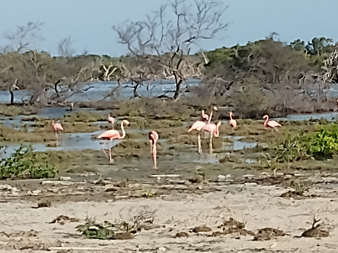 Klein Bonaire-博奈尔岛必去景点