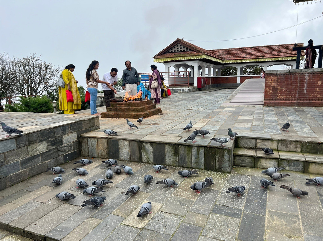 Osho Divine Zone-加德满都必去景点