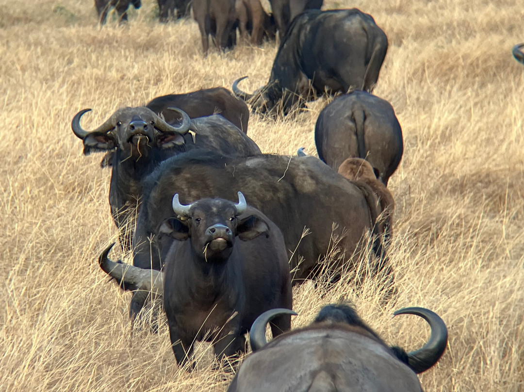 Access2Tanzania-阿鲁沙必去景点