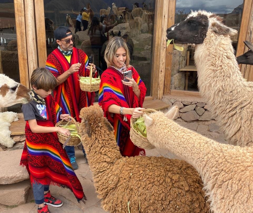 Incas Buggy Tours-乌鲁班巴必去景点