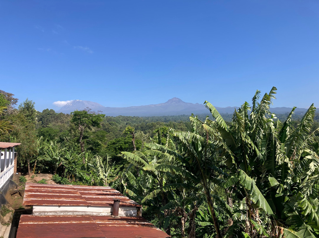 Kilema Paradise主图