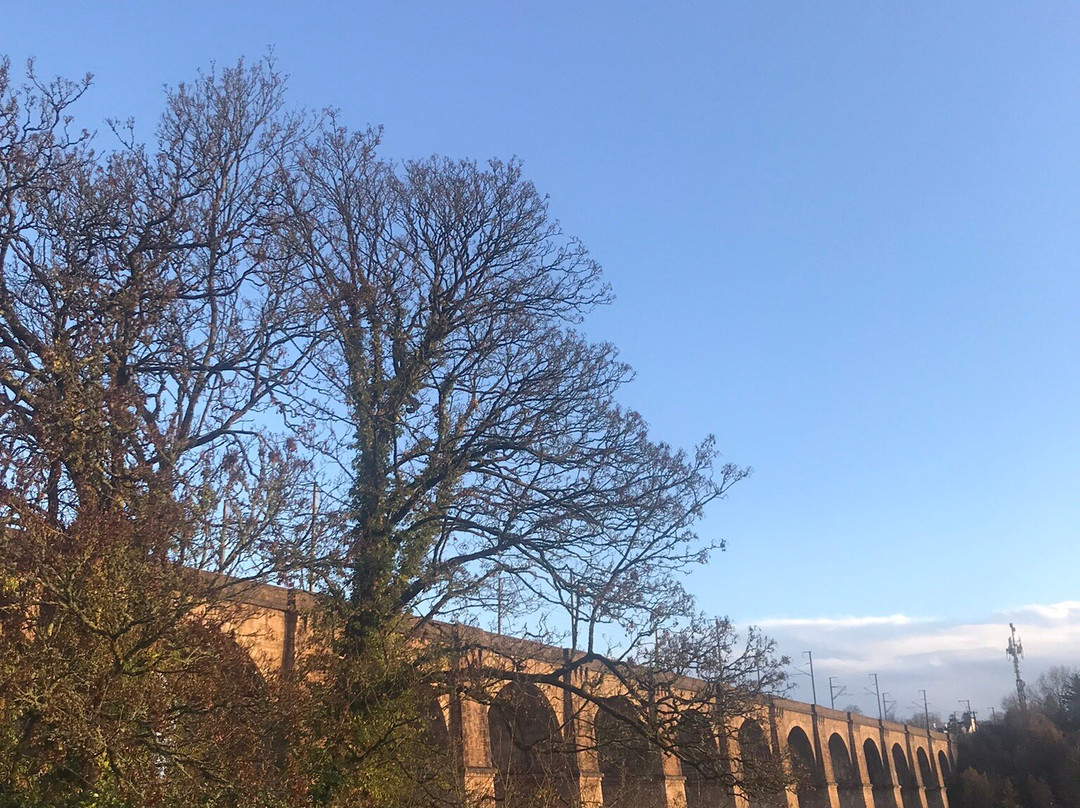 Chapelle Notre Dame des Anges-莫尔莱必去景点