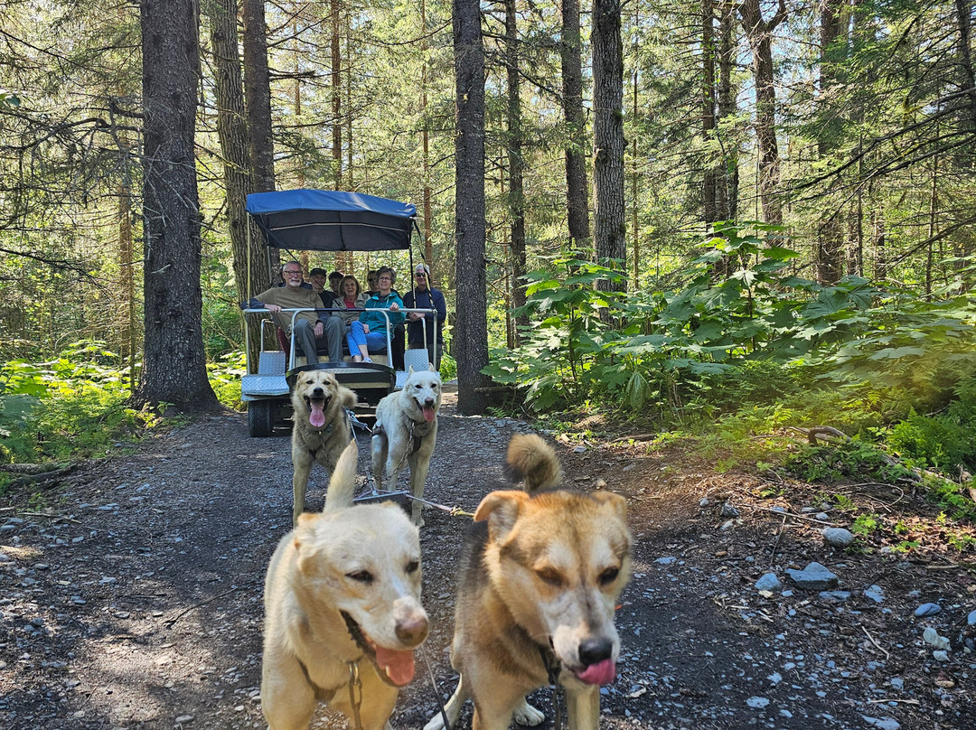 Alaskan Tour Guides-瓦西拉必去景点