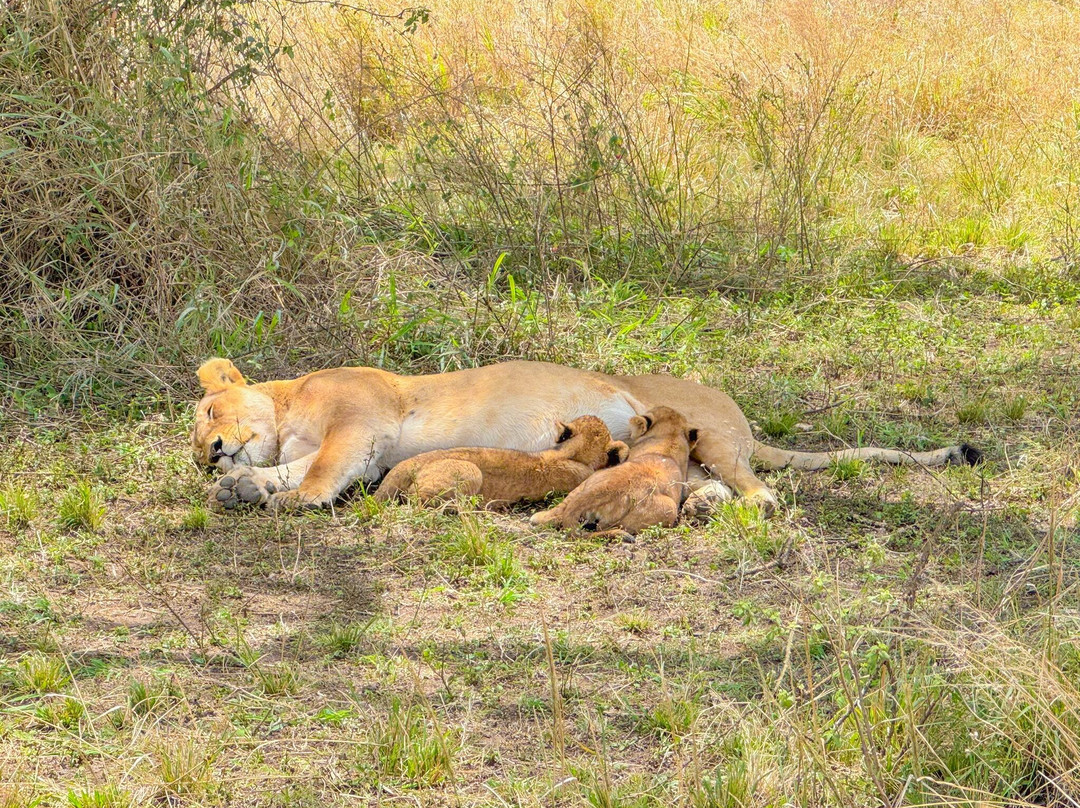 Mamnana Adventures-Olasiti必去景点