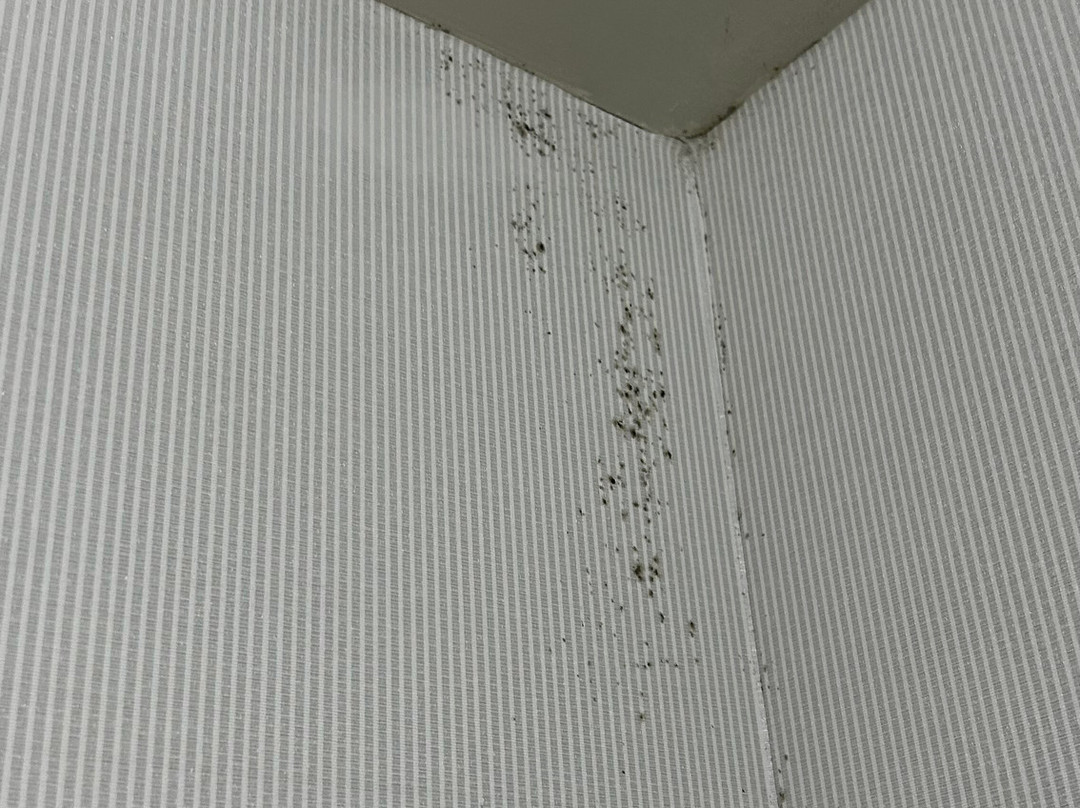 Courtyard by Marriott Charlotte Lake Norman主图