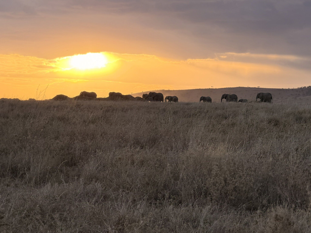 易捷旅游-一日游-阿鲁沙必去景点