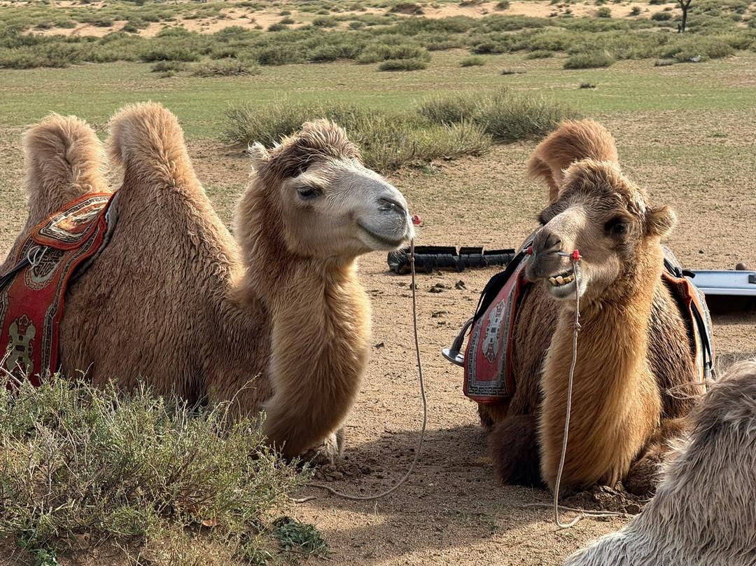 Sunpath Mongolia-乌兰巴托必去景点