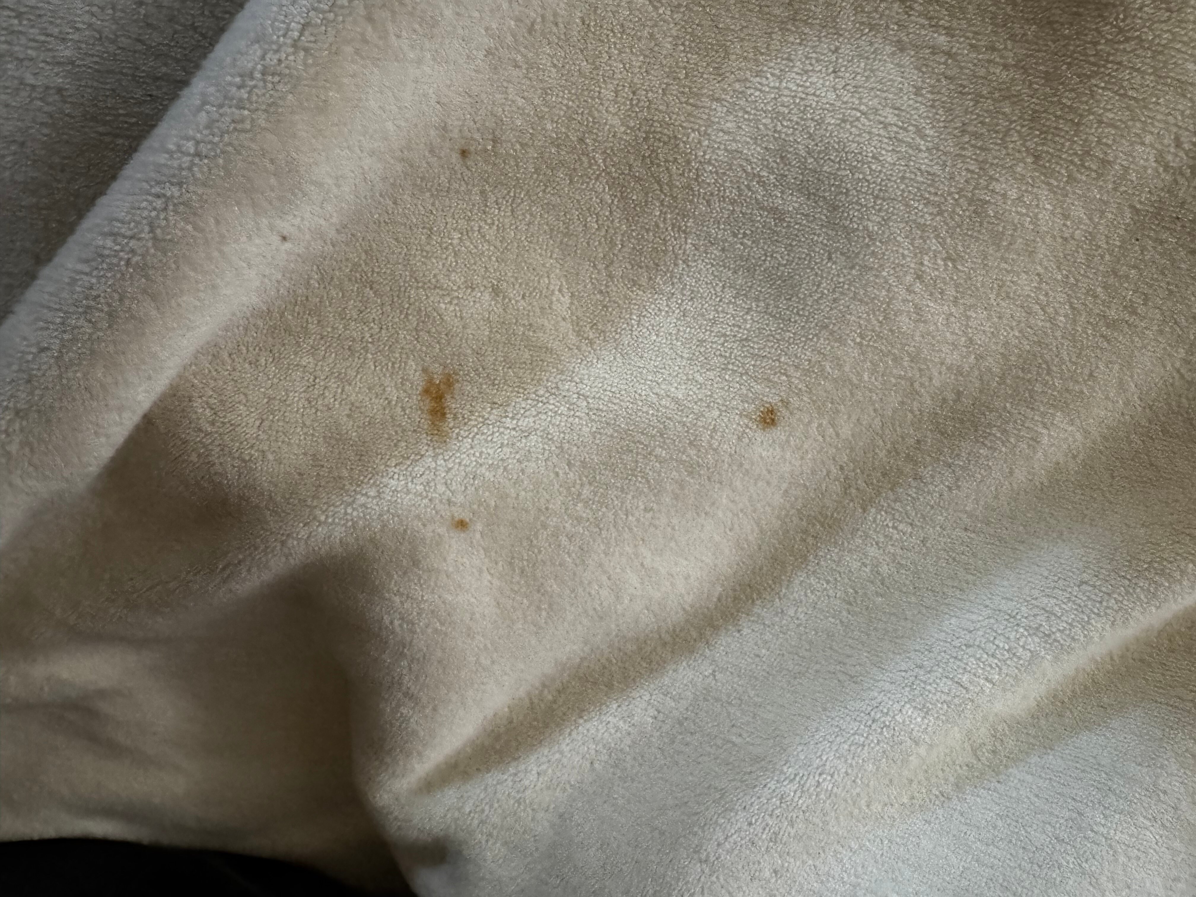 Hilton Garden Inn Milwaukee Downtown-客卧