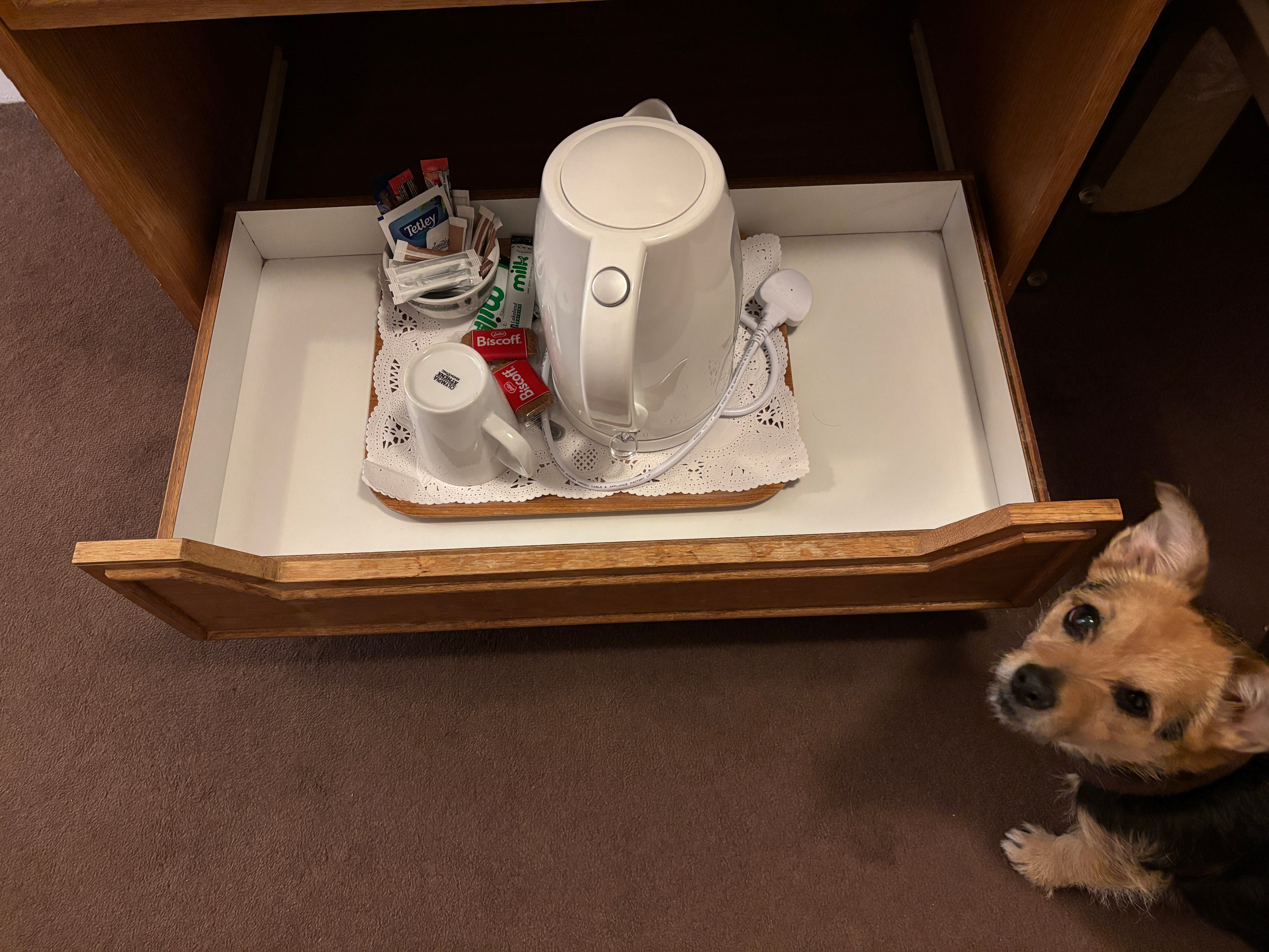 The Great Barr Hotel-客卧