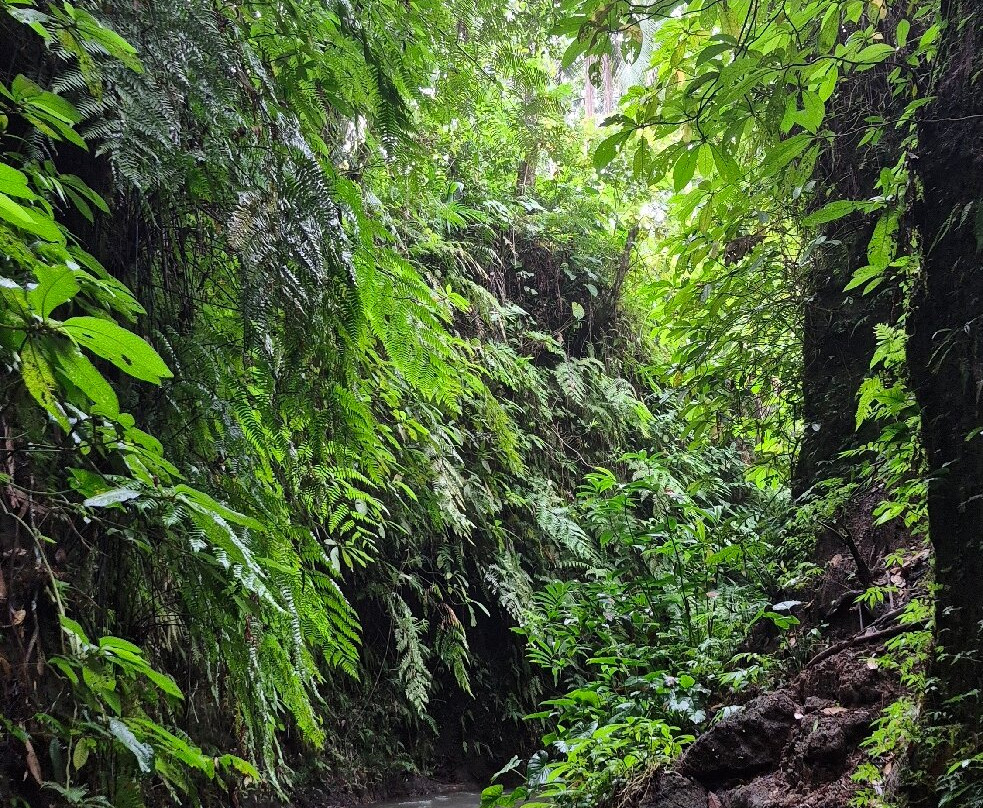 Manuaba Waterfall-德格拉朗必去景点