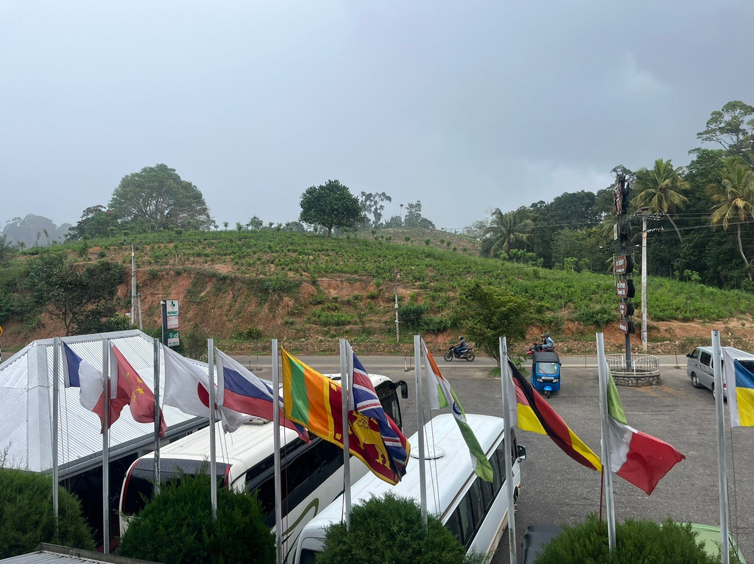 Private Tour Driver Sri Lanka-康提必去景点