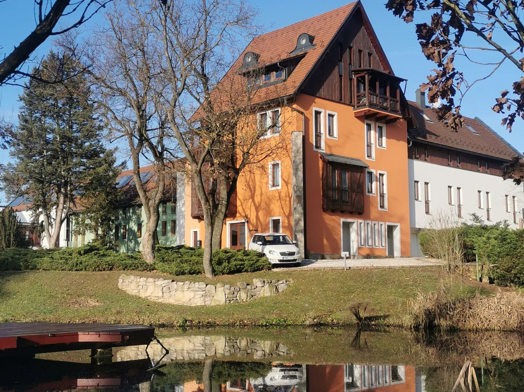 Hotel Vecsecity Superior主图