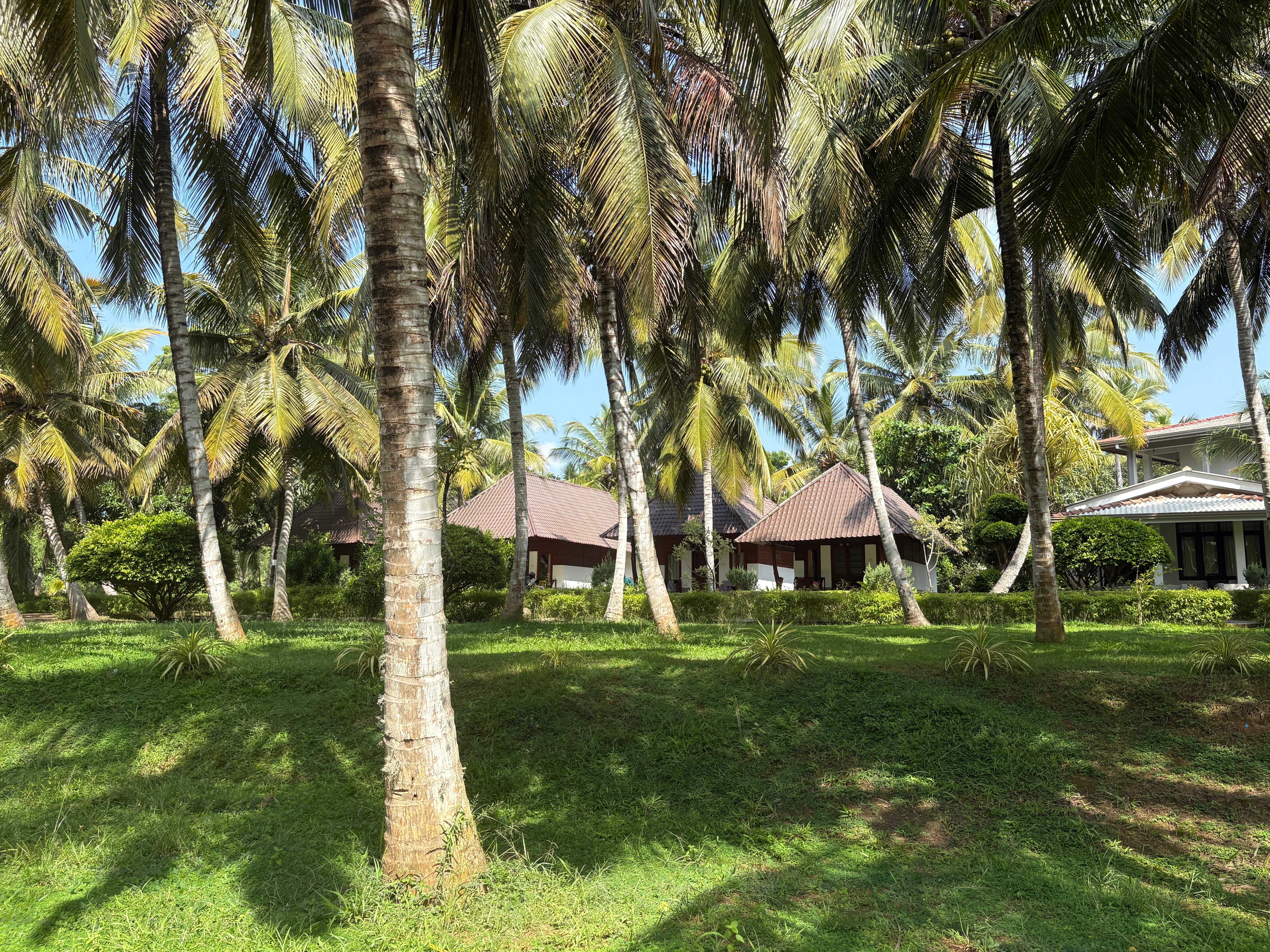 泻湖天堂海滩度假村-官方