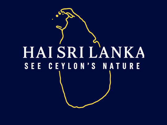 Hai Sri Lanka Tours-科伦坡必去景点
